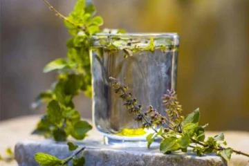 மூலிகைகளின் ராணி: வாழ்நாள் முழுவதும் நீரிழிவு நோய் வராமல் இருக்க வேண்டுமா? சூப்பர் டிப்ஸ்