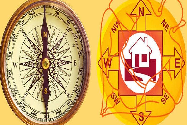 வீட்டில் மணி பிளாண்ட் இந்த திசையில் வைக்க கூடாதாம் - ஏன் தெரியுமா? | Should Not Place Money Plant Direction At Home