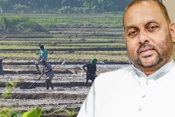 விவசாயிகளுக்கு இழப்பீடு வழங்கும் நடவடிக்கை ஆரம்பம்