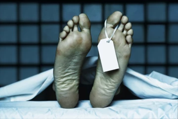 විනෝද චාරිකාව අවමඟුලක් කරමින් විදුලි සේවකයා මරුට
