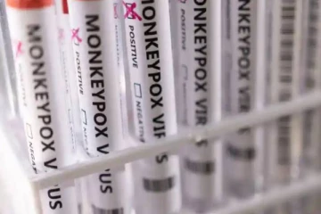 மற்றொரு பிரபல நாட்டிலும் பரவிய குரங்கு அம்மை!