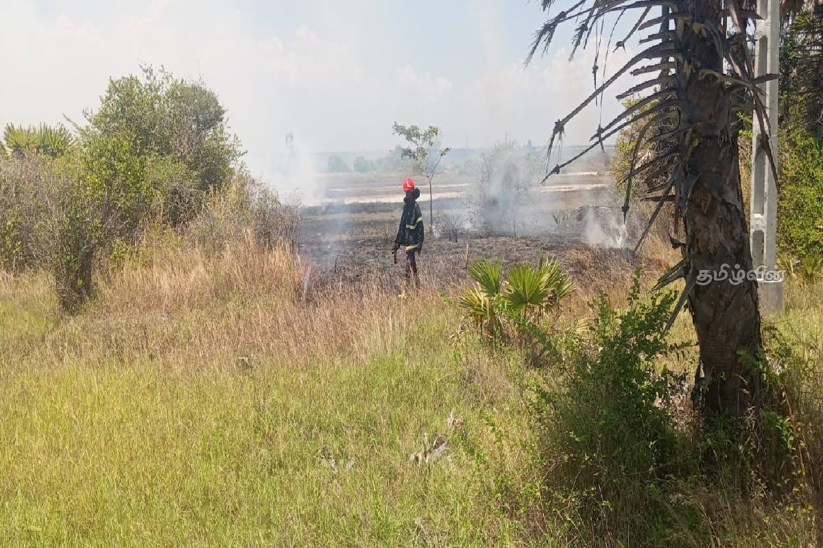 அல்லைப்பிட்டியில் நடந்த தீ விபத்து - பல ஏக்கர் புற்றரை எரிந்து நாசம்! | Fire Accident In Allaipitiya