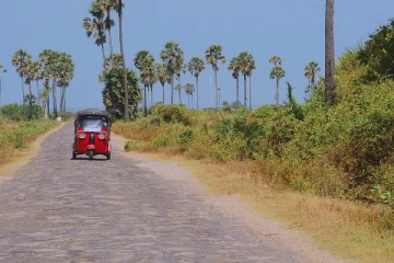 யாழில் முச்சக்கர வண்டியில் இளைஞனை கடத்தி கொள்ளை ; இருவருக்கு வலைவீச்சு