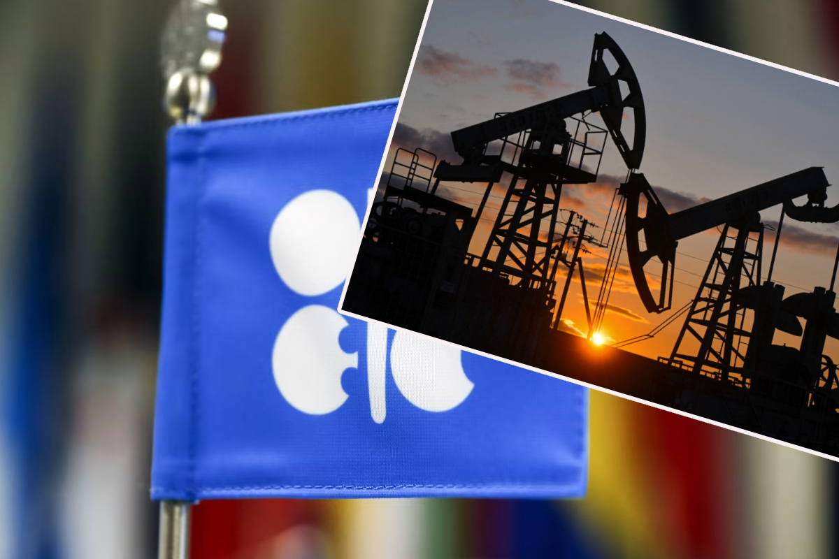 ஒபெக் அமைப்பிலிருந்து வெளியேறபோகும் ஐக்கிய அரபு அமீரகம்! | Uae Is About To Leave Opec Fuel Iran Us War