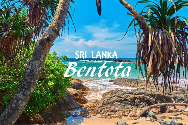 ஆசியாவின் சிறந்த 10 கடற்கரைகளின் பட்டியல் - இலங்கைக்கு கிடைத்த இடம் | Asias Best Of The Best Beaches In Srilanka