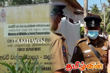 சிங்கராஜ வனப்பகுதியில் பூச்சிகளுடன் சிக்கிய ஸ்பெயின் நாட்டவர்