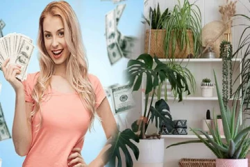 Vastu Tips: இந்த செடிகளில் ஒன்றை வீட்டில் நட்டால் பணத்துக்கு பஞ்சமே இருக்காதாம்...