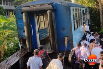 දුම්රියක් පීලි පනී, මාර්ගයට ද විශාල හානී