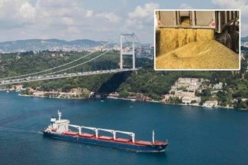 140 ஆயிரம் டன் உணவு தானியம்: ஆசியா, ஆப்பிரிக்கா, ஐரோப்பா நோக்கி விரைந்த 4 சரக்கு கப்பல்கள்