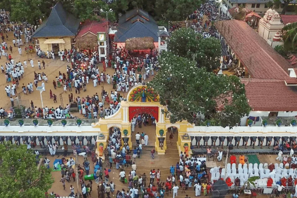 சுற்றுலா பயணிகளால் இலங்கைக்கு குவியும் வருமானம்! | Income Flowing To Sri Lanka From Tourists