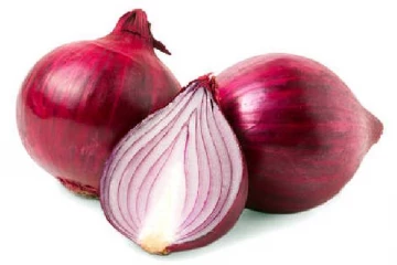 வெயிலில் இருந்து தப்பிக்க பாக்கெட்டுகளில் வெங்காயத்தை வையுங்கள்! பாஜக அமைச்சரின் டிப்ஸ்