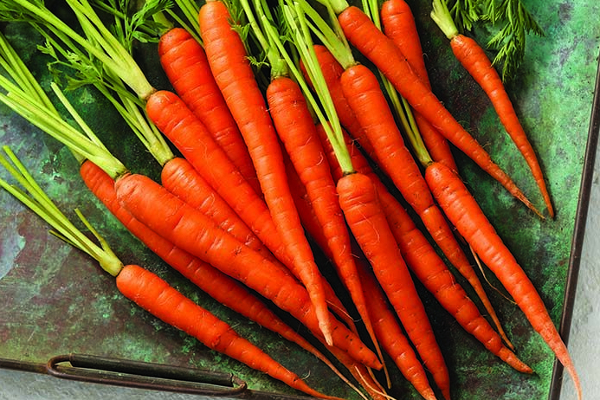 புற்றுநோயை விரட்டியடிக்கும் அற்புத காய்... தினமும் சாப்பிட்டா என்ன நடக்கும்? | Carrots Health Benefits And How To Eat