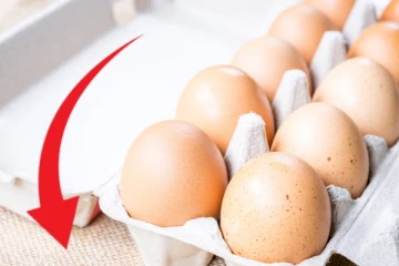 முட்டை விலையில் வீழ்ச்சி: வெளியான புதிய அறிவிப்பு