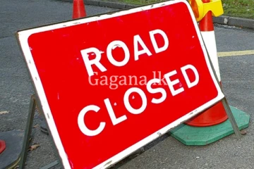 ගසක් කඩා වැටී මාර්ගයක් අවහිර වෙයි.