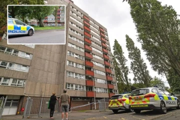 பிரித்தானியாவில் பால்கனியில் இருந்து விழுந்த 8 வயது சிறுமி: பெண் ஒருவர் கைது