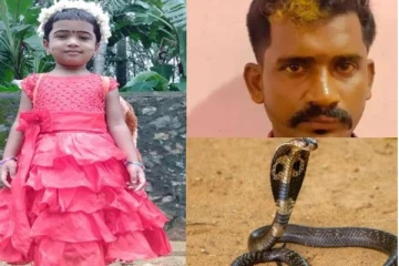 பாம்பு தீண்டி 4 வயது சிறுமி உயிரிழப்பு! சிக்கிய தந்தை... வெளியான அதிர்ச்சி பின்னணி
