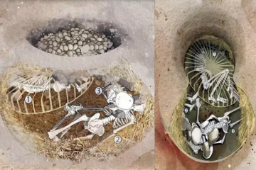 6,000 ஆண்டுகளுக்கு முன்பே மனித உயிர்ப்பலி; பெண்கள் கொடூர கொலை - அதிர்ச்சி தகவல்!