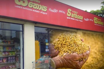 சதொச ஊடாக நெல் கொள்வனவு செய்ய திட்டம்