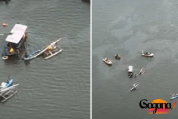 ගුවන් අනතුර ගැන හොයන්න විශේෂ කමිටුවක්