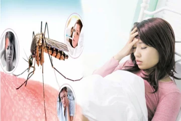 டெங்கு காய்ச்சலுக்கான ஆரம்ப அறிகுறிகளும் சாப்பிட வேண்டிய உணவுகளும்...