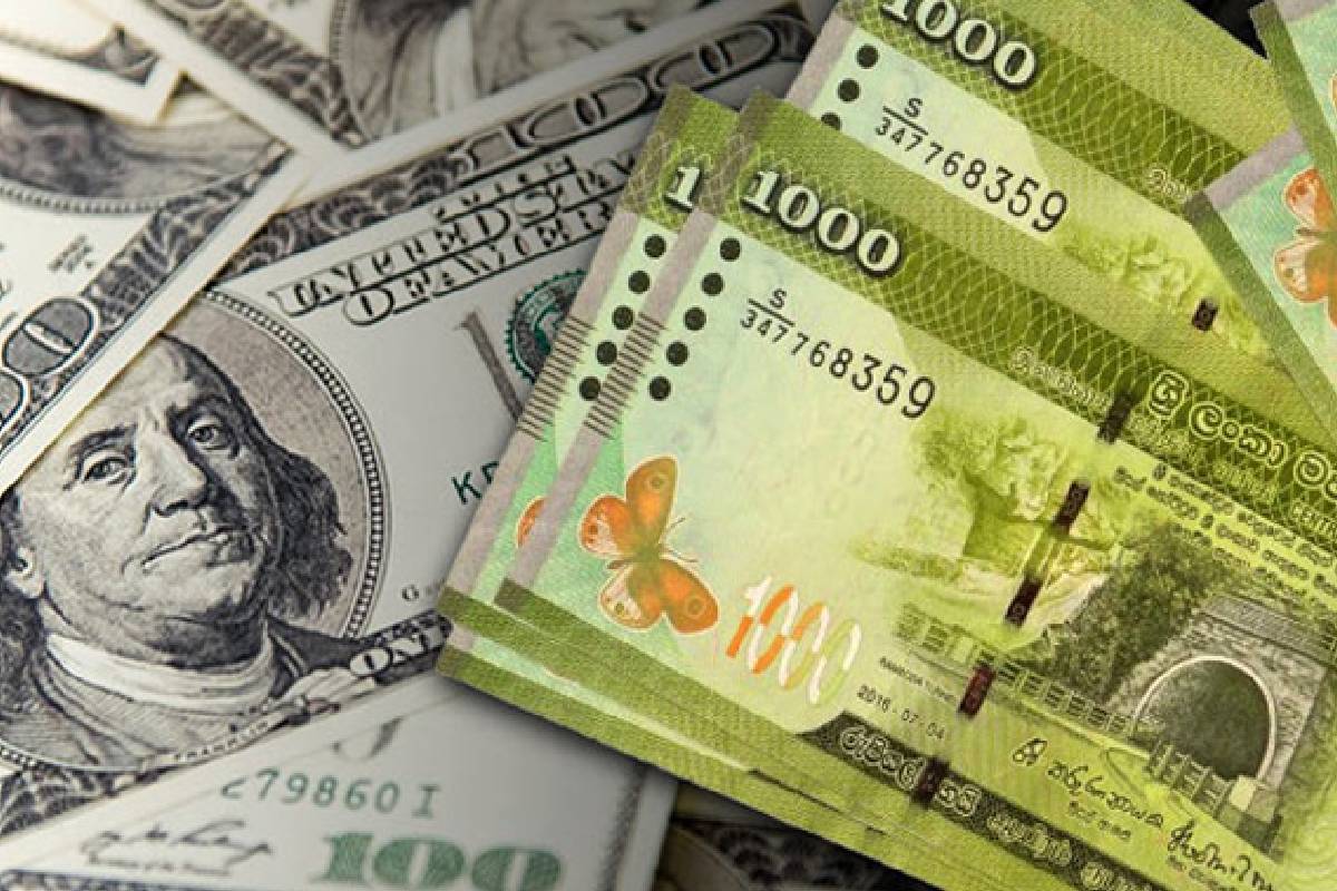 இலங்கை ரூபா டொலருக்கு எதிராக வலுவடைந்தது | The Change In The Price Of The Dollar Today