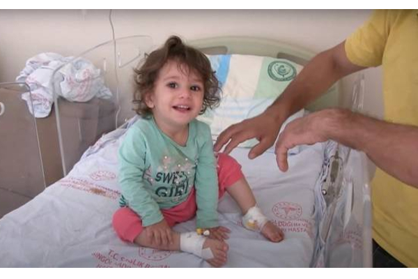 என்னையா கடிக்கிற? பாம்பை பழிக்கு பழி வாங்கிய குழந்தை! துருக்கியில் நடந்த அதிர்ச்சி சம்பவம் | Child Kills 20 Inch Snake In Turkey