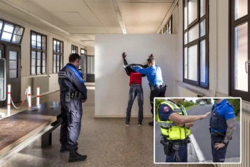 சுவிட்சர்லாந்தில் வெளிநாட்டினரின் குற்றச்செயல்களை கையாள சிறப்பு பணிக்குழு! முக்கிய விவரம்