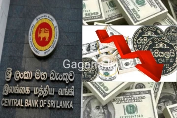 ඉහළ ගිය ඩොලරය අද 200 ගණන් වලට ආසන්නව අඩු වෙයි..මහ බැංකුවෙන් විශේෂ දැනුම්දීමක්..