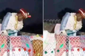 குதிரையில் ஏறிய மாப்பிள்ளைக்கு ஏற்பட்ட அசிங்கம்: வைரலாகும் காணொளி