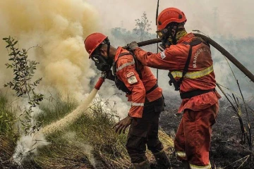 ඉන්දුනීසියානු ලැව්ගිනි දුමාරයෙන් සිංගප්පූරුවේ වායු දූෂණය වසරේ ඉහළම අගයට- කලාපීය සෞඛ්‍ය අර්බුදයක්