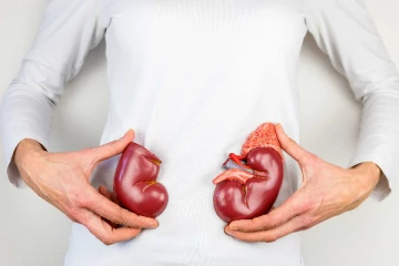 உடலின் ராஜ உறுப்பான சிறுநீரகத்தை சுத்தம் செய்ய இதை செய்தால் போதுமே!