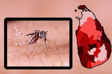 அதிகரிக்கும் டெங்கு பரவல்: அடையாளம் காணப்பட்டுள்ள 7 மாவட்டங்கள்
