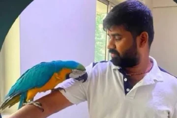 கிளியை காப்பாற்ற முயன்று உயிரிழந்த இளைஞர்: அதிர்ச்சி சம்பவம்