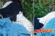 மர்மமான முறையில் கொலை செய்யப்பட்ட பெண்ணின் சடலம் கண்டுபிடிப்பு
