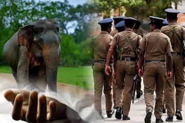 நாட்டில் இருவேறு பகுதிகளில் யானை தாக்கியதில் இருவர் பலி