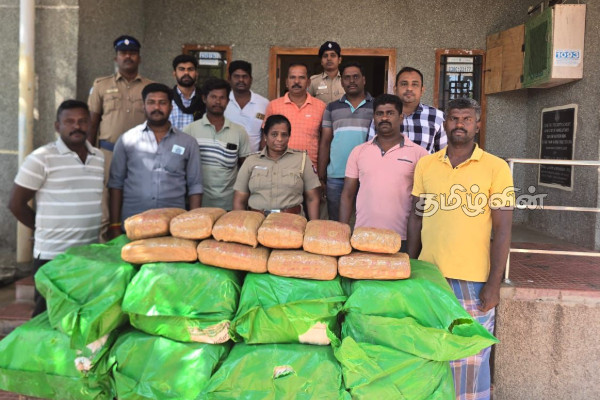 இலங்கைக்கு கடத்துவதற்காக பதுக்கி வைக்கப்பட்டிருந்த 25 இலட்சம் பெறுமதியான கஞ்சா பறிமுதல் | Kanja 25 Lakhs Seized Stashed Smuggling Sri Lanka இலங்கைக்கு கடத்துவதற்காக பதுக்கி வைக்கப்பட்டிருந்த 25 இலட்சம் பெறுமதியான கஞ்சா பறிமுதல் | Kanja 25 Lakhs Seized Stashed Smuggling Sri Lanka