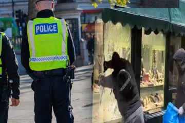 வடக்கு லண்டனில் நகைக்கடைக்குள் புகுந்த கொள்ளையர்களை ஓடஓட விரட்டிய ஊழியர்கள்!