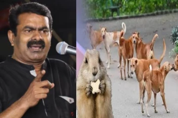 நாய்களை ஒழித்தால் பிளேக் நோய் வரும் - சீமான் கொதிப்பு!