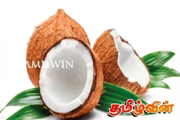 தேங்காய் விலையில் ஏற்பட்டுள்ள மாற்றம்