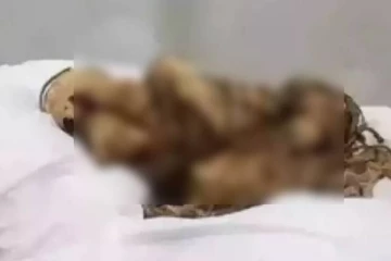 4 வருஷமா சடலத்துடன் குடும்பம் நடத்திய பெண்; மம்மியான கணவன் - பகீர் பின்னணி!