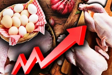 இறைச்சி மற்றும் முட்டை விலை அதிகரிப்பு - வெளியான தகவல்