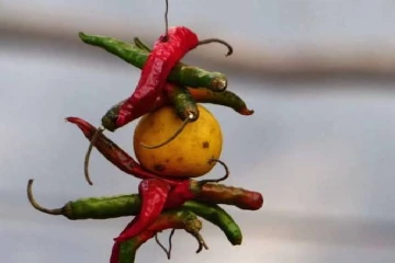 வீட்டில் எலுமிச்சை மற்றும் மிளகாயை கட்டுவதற்கு இது தான் காரணமா!