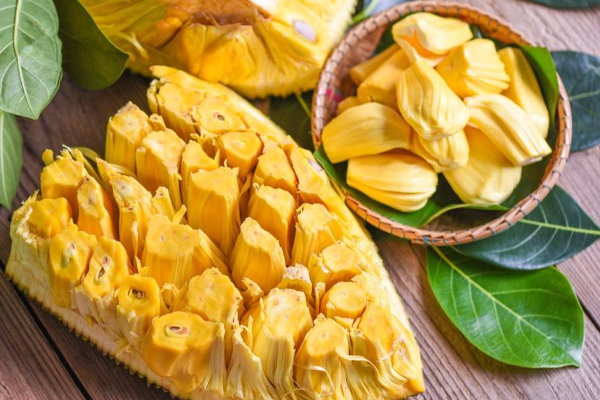 பலாப்பழத்தால் இலங்கை படைக்கவுள்ள சாதனை! | An Achievement To Create With Jackfruit