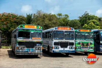 හදිසියේම ගම්පහ - කොළඹ ඇතුළු ප්‍රදේශ කිහිපයක බස් ධාවනය නවතී - මෙන්න හේතුව