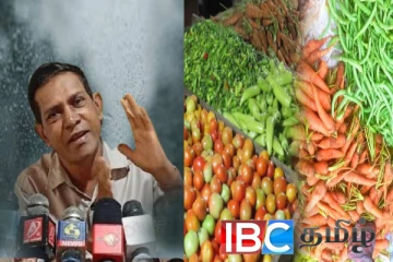 தொடரும் மழை : கடுமையாக உயரப்போகும் மரக்கறி விலைகள்