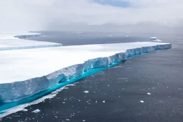உலகின் மிகப்பெரிய பனிப்பாறை உருகுவதால் ஏற்படப்போகும் அபாயம்; விடுக்கப்பட்ட எச்சரிக்கை
