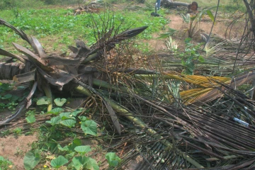 வான்எல - பனிச்சை ஆறு கிராமத்தில் காட்டு யானை அட்டகாசம்