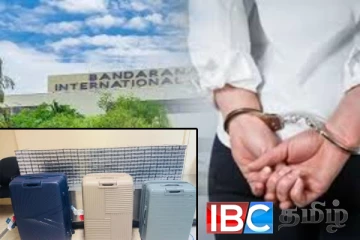 வெளிநாட்டிலிருந்து வருகை தந்த கணவன்,மனைவி கட்டுநாயக்காவில் கைது