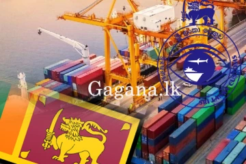 ඉතිහාසයේ වැඩිම ආදායම මෙරටට උපයා දුන් දෙපාර්තමේන්තුව මෙන්න.