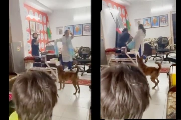 பிரதமர் மோடி புகைப்படத்தை வீட்டில் மாட்டிய பெற்றோர்கள் - கிழித்தெறிந்த மகள் - வைரலாகும் வீடியோ